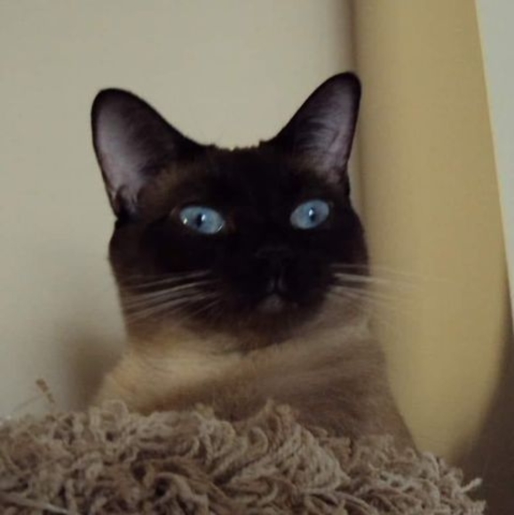 Meet your Posher, Becky - Picture 1 of 1